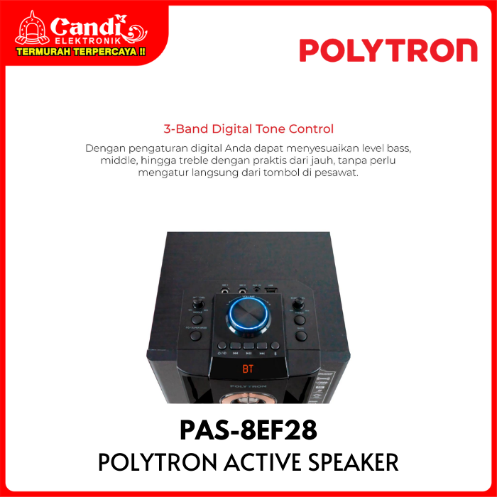 Polytron Active Speaker